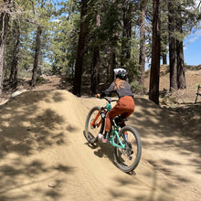 Load image into Gallery viewer, Lynt Trail Pants in Terra Cotta