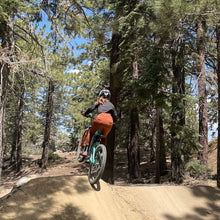 Load image into Gallery viewer, Lynt Trail Pants in Terra Cotta