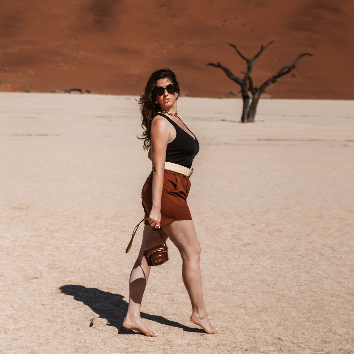 Pleated Shorts in Terra Cotta