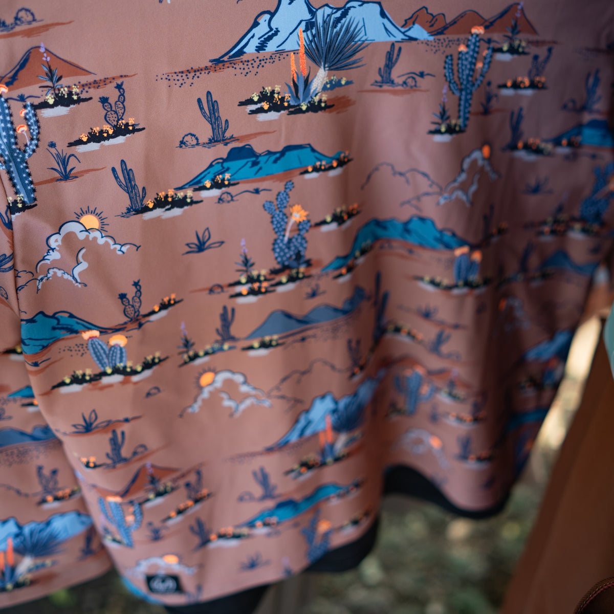 Lynt Crop Tee in Desert Dweller