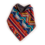 Dirt Bandit in Desert